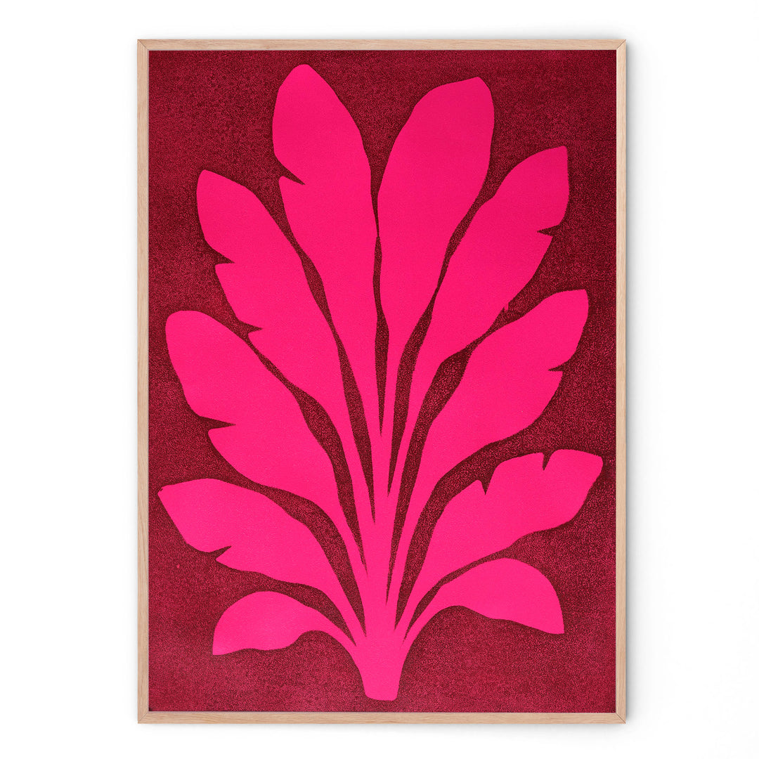 GRAND LEAF FUCHSIA ORIGINAL